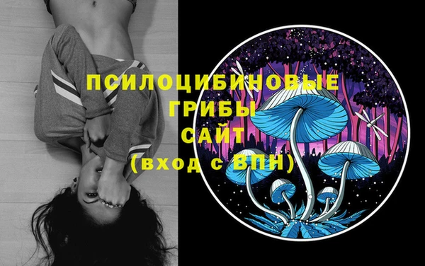 синтетический гашиш Арсеньев