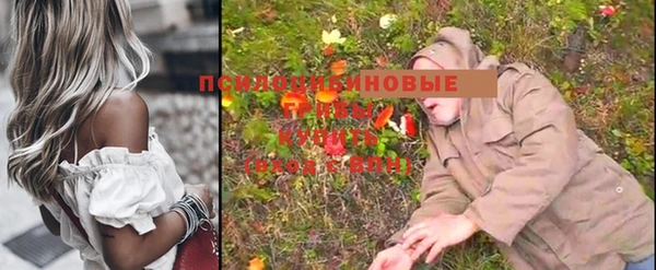 винт Армянск