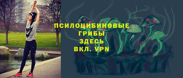 гашик Аркадак