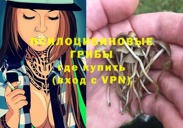 синтетический гашиш Арсеньев