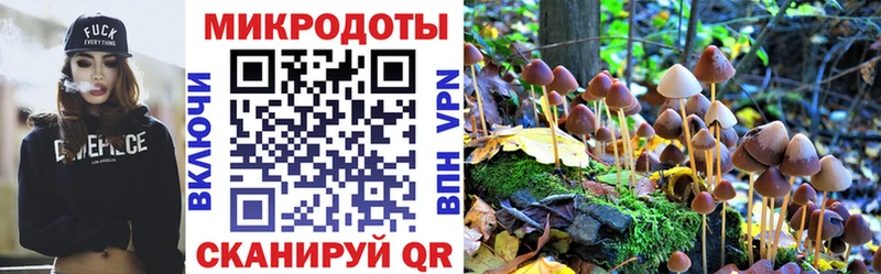 Галлюциногенные грибы мицелий  Полевской 